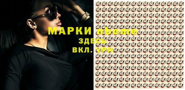 стафф Россошь