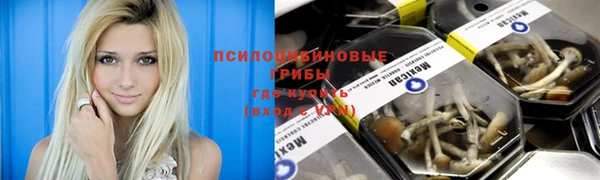 ГАЛЛЮЦИНОГЕННЫЕ ГРИБЫ Володарск