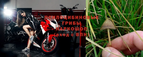 стафф Россошь