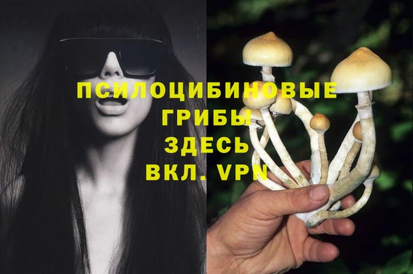 бутират Ростов