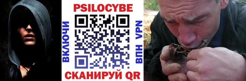 Псилоцибиновые грибы MAGIC MUSHROOMS  где продают наркотики  Партизанск 